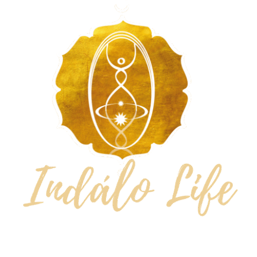 indálo logo&schriftzug transparent